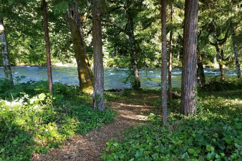 On The River Wooded Bliss Cabin Near Loloma McKenzie Bridge Extérieur photo